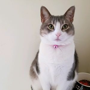 Meet your Posher, Ben